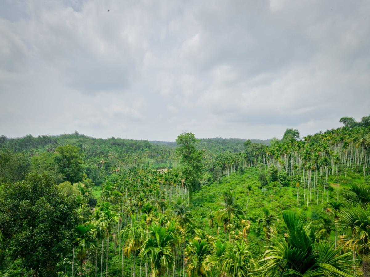 Wayanadia Resort Hotel Ambalavayal Buitenkant foto